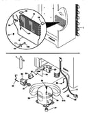 System