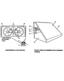 Compressor and coil