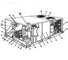 York D3CE120A25MF single package cooling unit diagram