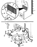 System
