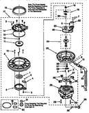 Pump and motor