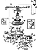 Pump and motor