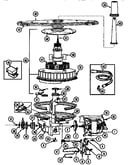 Pump and motor