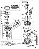 Pump and motor