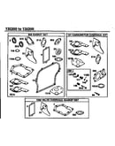 Carburetor overhaul kit/valve overhaul gasket set