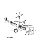 Motor-pump mechanism