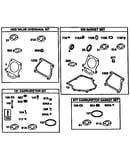 Valve overhaul kit/gasket set/carburetor kit