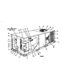 Condenser coil