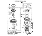 Kenmore 110773811 pump and motor parts diagram