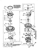 Pump and motor