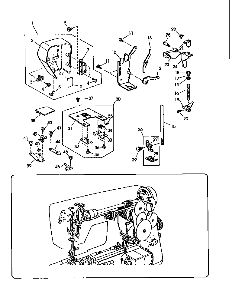 PRESSER BAR AND NEEDLE PLATE ASSEMBLY