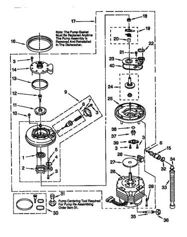 Pump and motor