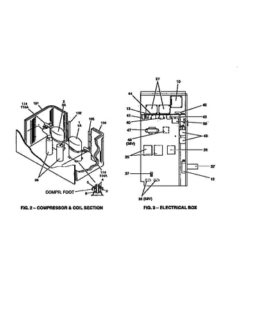 Compressor and coil section