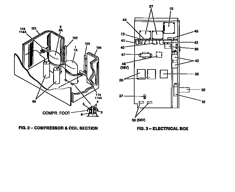 Compressor and coil section