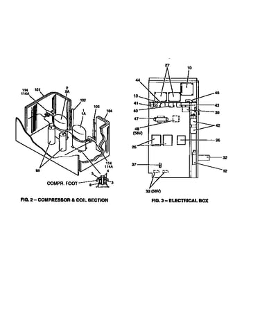 Compressor and coil section