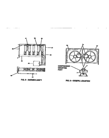 Burner assembly and compressor