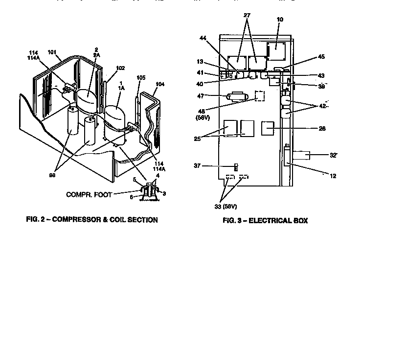 Compressor and coil section