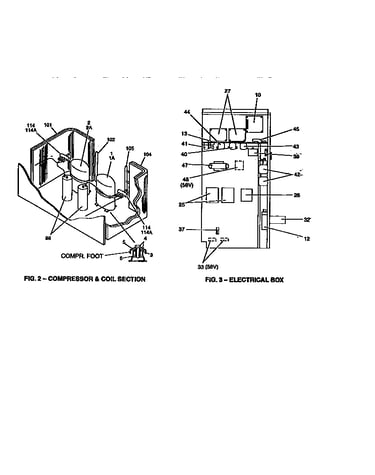 Compressor and coil section