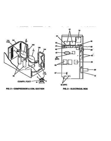Compressor and coil section