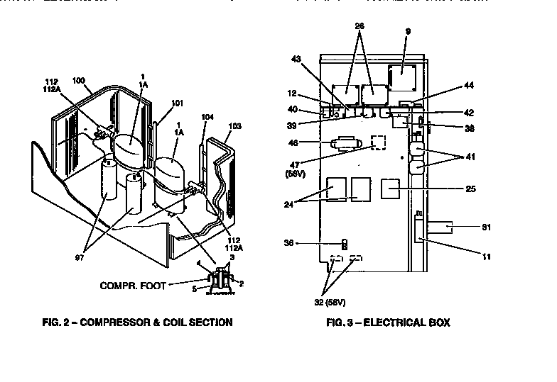 Compressor and coil section