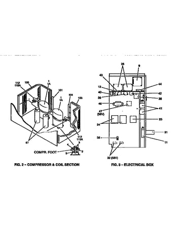 Compressor and coil section