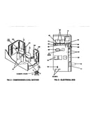 Compressor and coil section