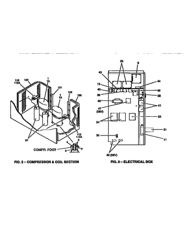 Compressor and coil section