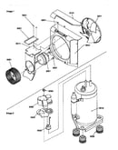 Fan motor/compressor assemblies