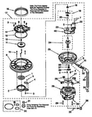 Pump and motor