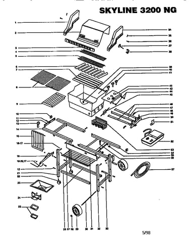 Skyline 3200 ng