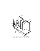 Compressor and coil section