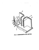 Compressor and coil section