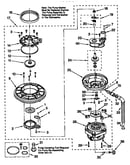 Pump and motor