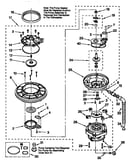 Pump and motor