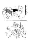 System