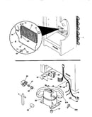 System