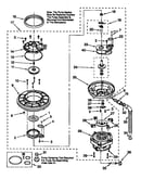 Pump and motor