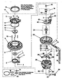 Pump and motor