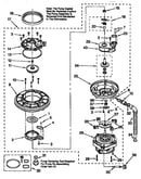 Pump and motor