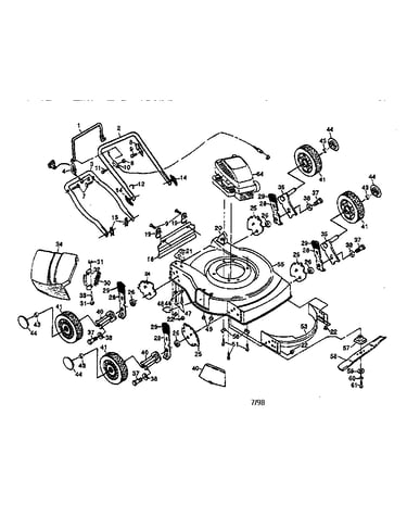 Rotary lawn mower