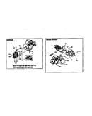 Muffler and recoil starter