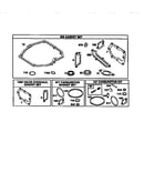 Gasket set/carburetor kit/valve overhaul set