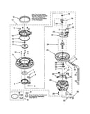 Pump & motor