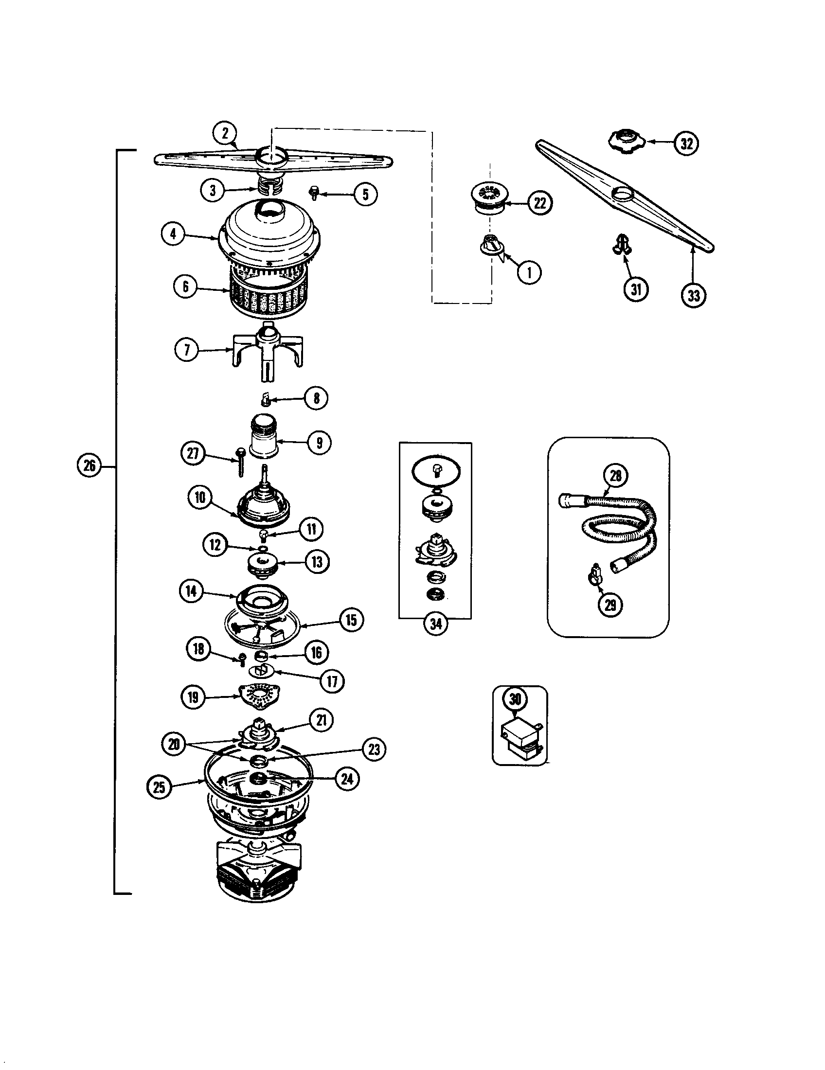 Pump & motor