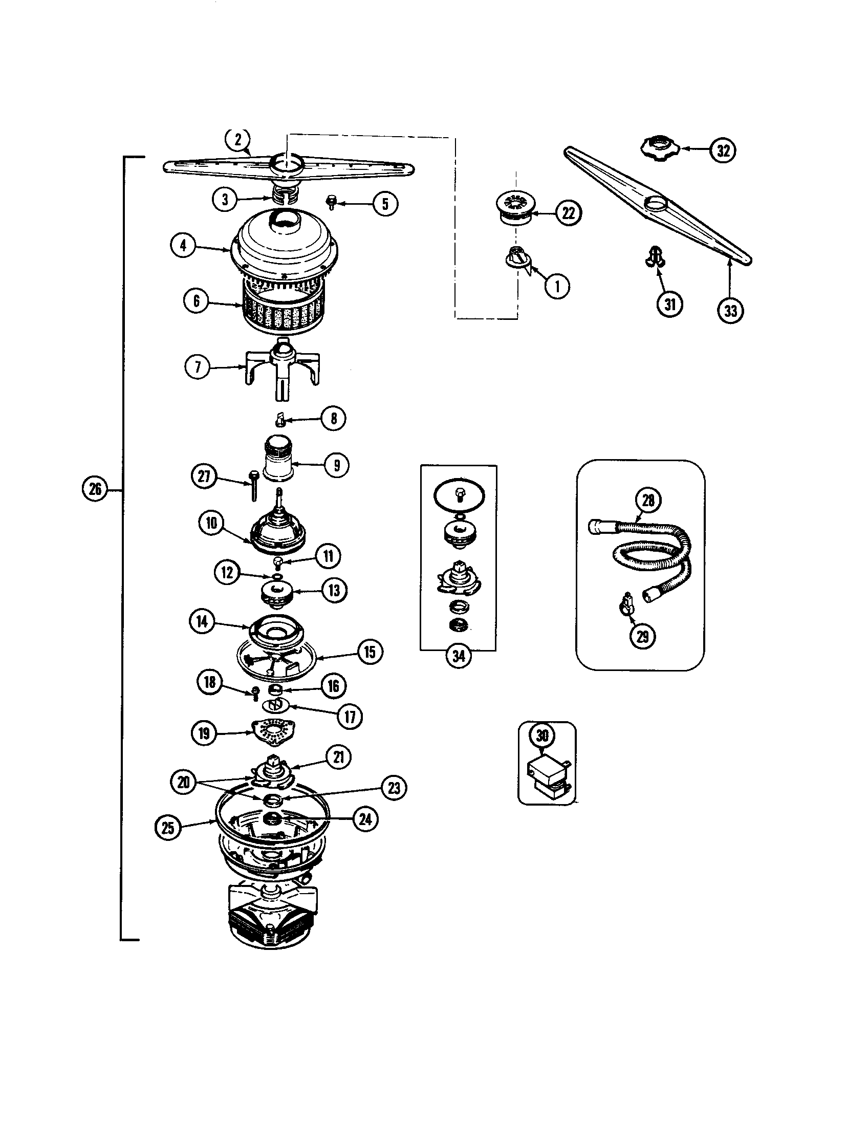 Pump & motor
