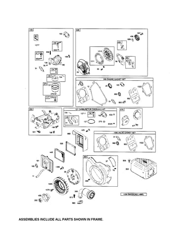 Carburetor/rewind starter