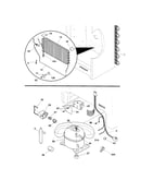 System