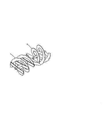 Auger