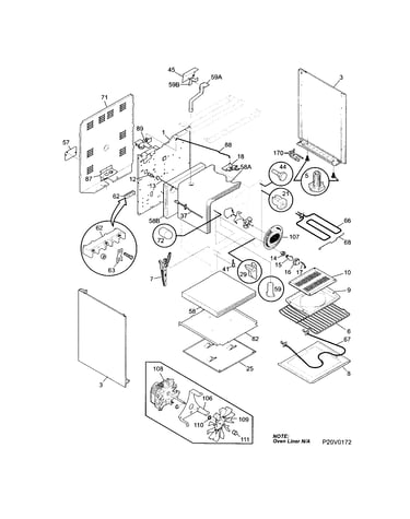 Body