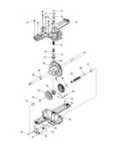 Drive shaft/differential